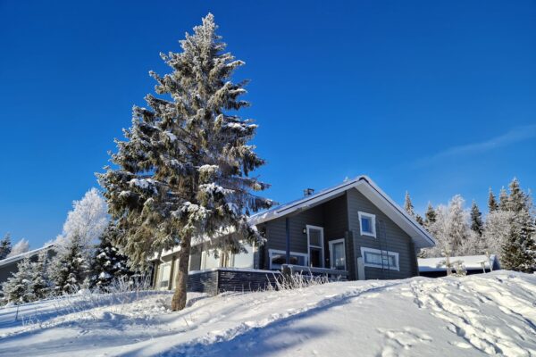 ruka