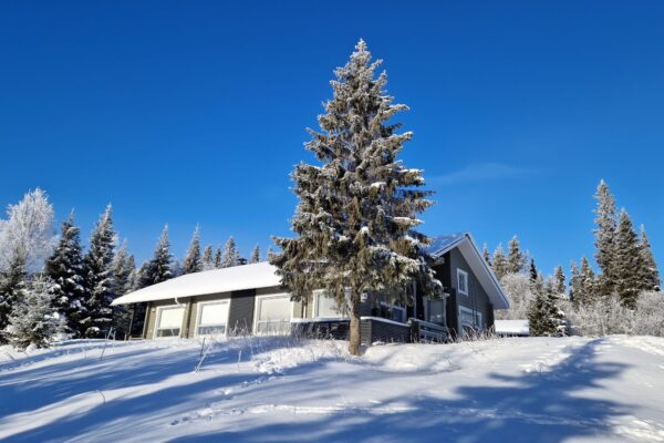 ruka2