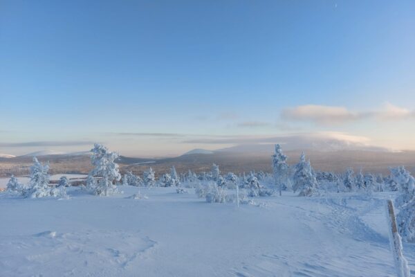 ylläs kuvat 2025-02-14 at 17.32.09 (1)